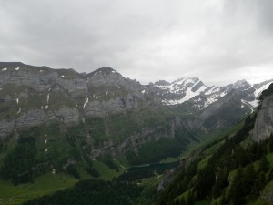 IMGP0422-1000