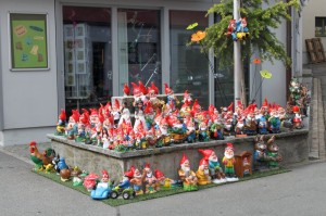 IMG 4519-1000