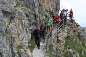 IMG 4568-1000