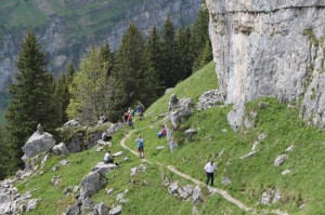 IMG 4577-1000