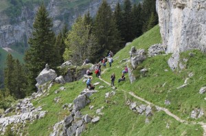 IMG 4578-1000