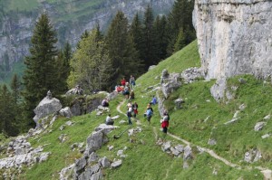 IMG 4581-1000