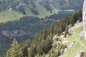 IMG 4582-1000