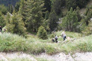 IMG 4584-1000