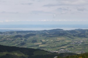 IMG 4598-1000