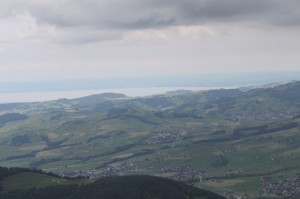 IMG 4639-1000