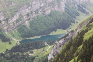 IMG 4649-1000