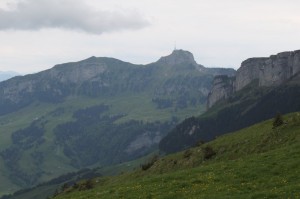 IMG 4650-1000