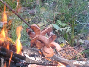 IMG 3106-1000