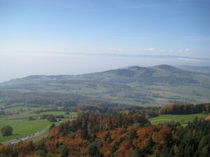 IMG 3123-1000