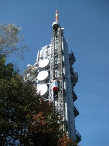 IMG 3131-1000