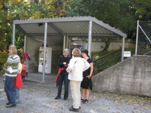 IMG 3133-1000